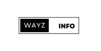 cropped-Wayz.info-200-x-100-pxf2.png